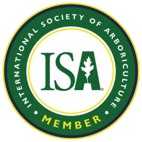 ISA Member