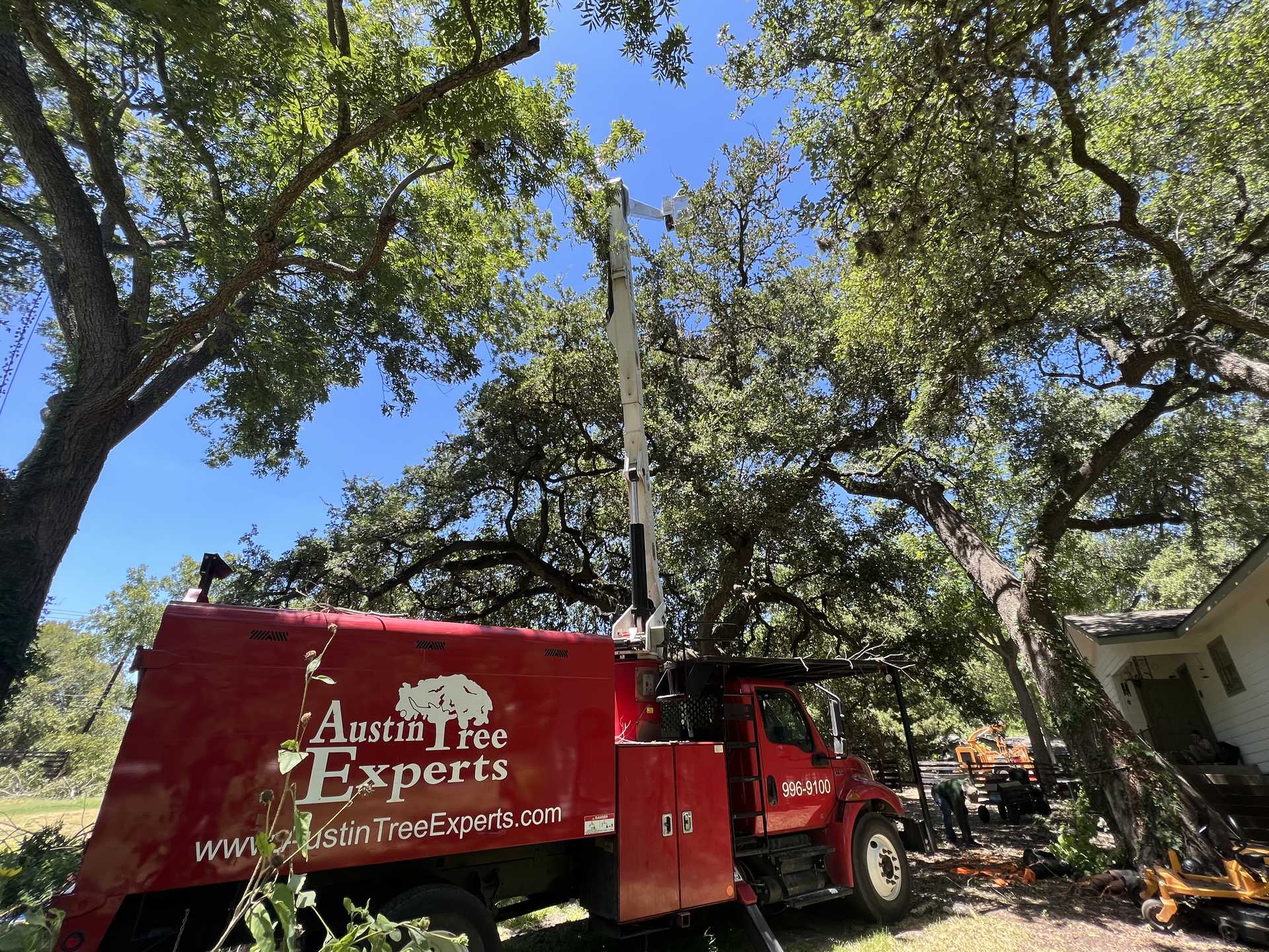 80-foot American elm removal with crane in Austin's Zilker neighborhood
