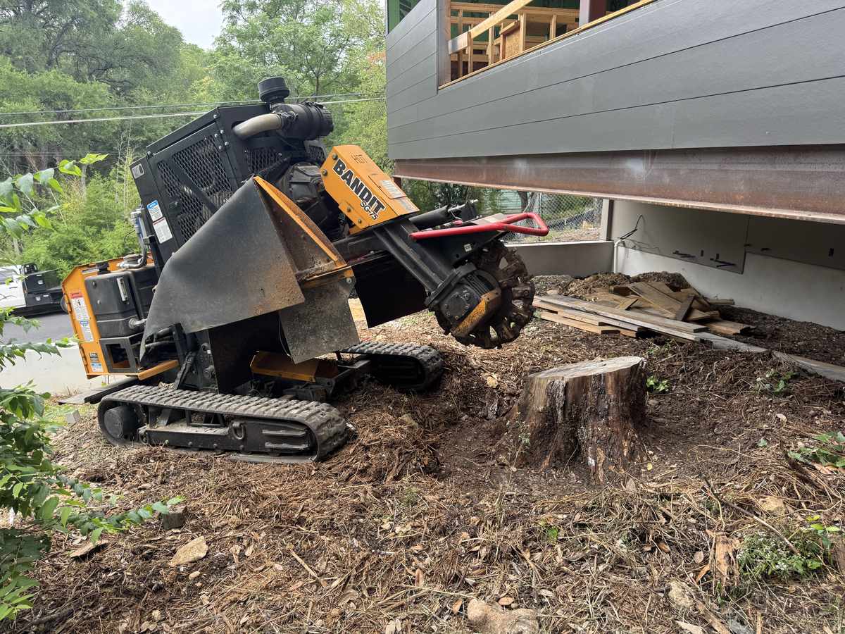 Stump grinder in action at a residential property in Austin