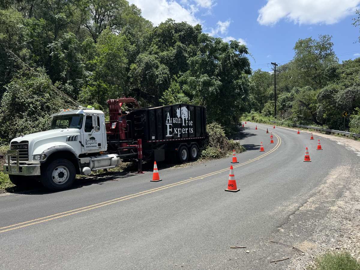 Tree removal along a Hill Country road in the Austin area