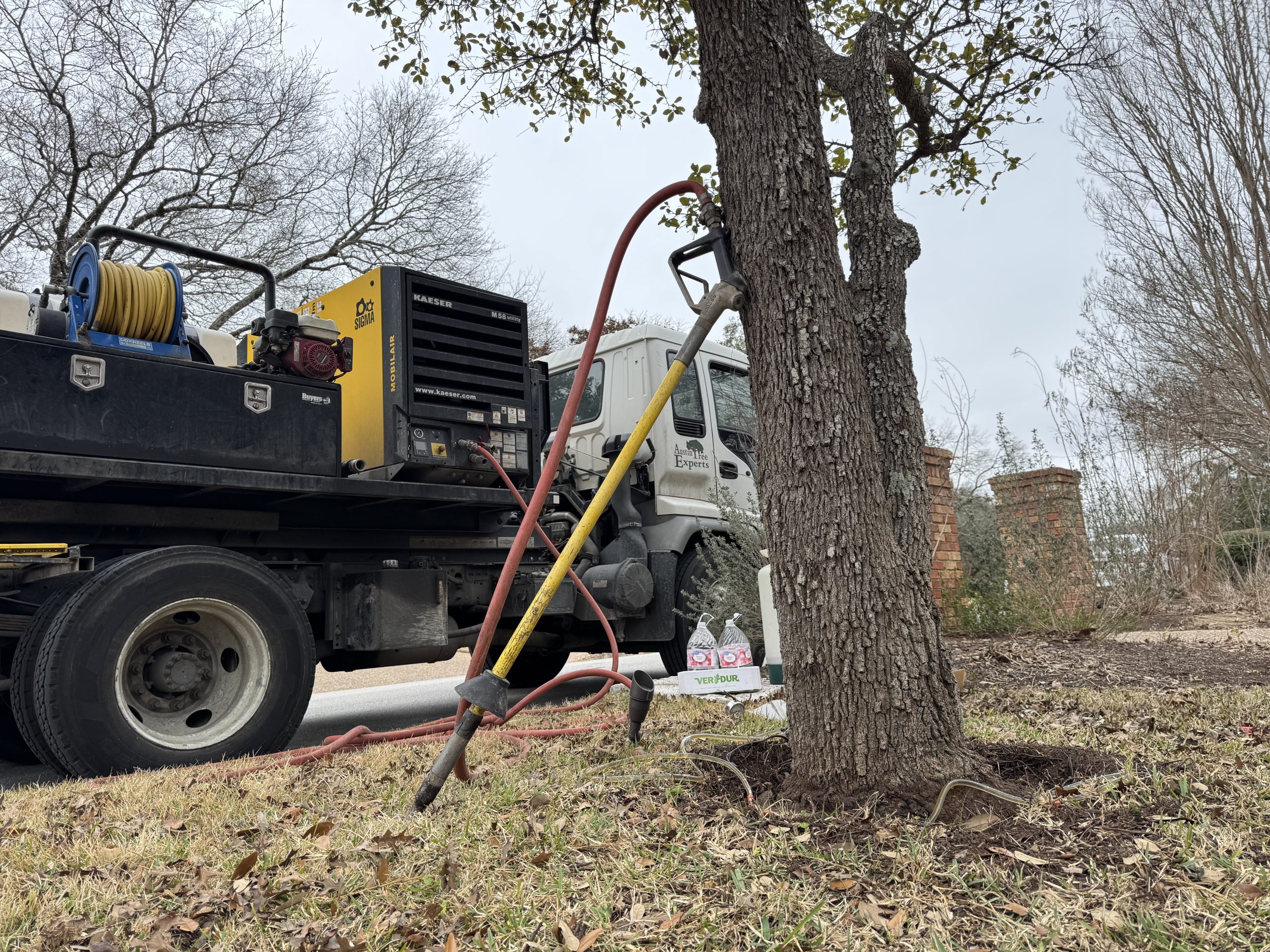 Air-spade equipment being used at the base of a tree for root zone treatment