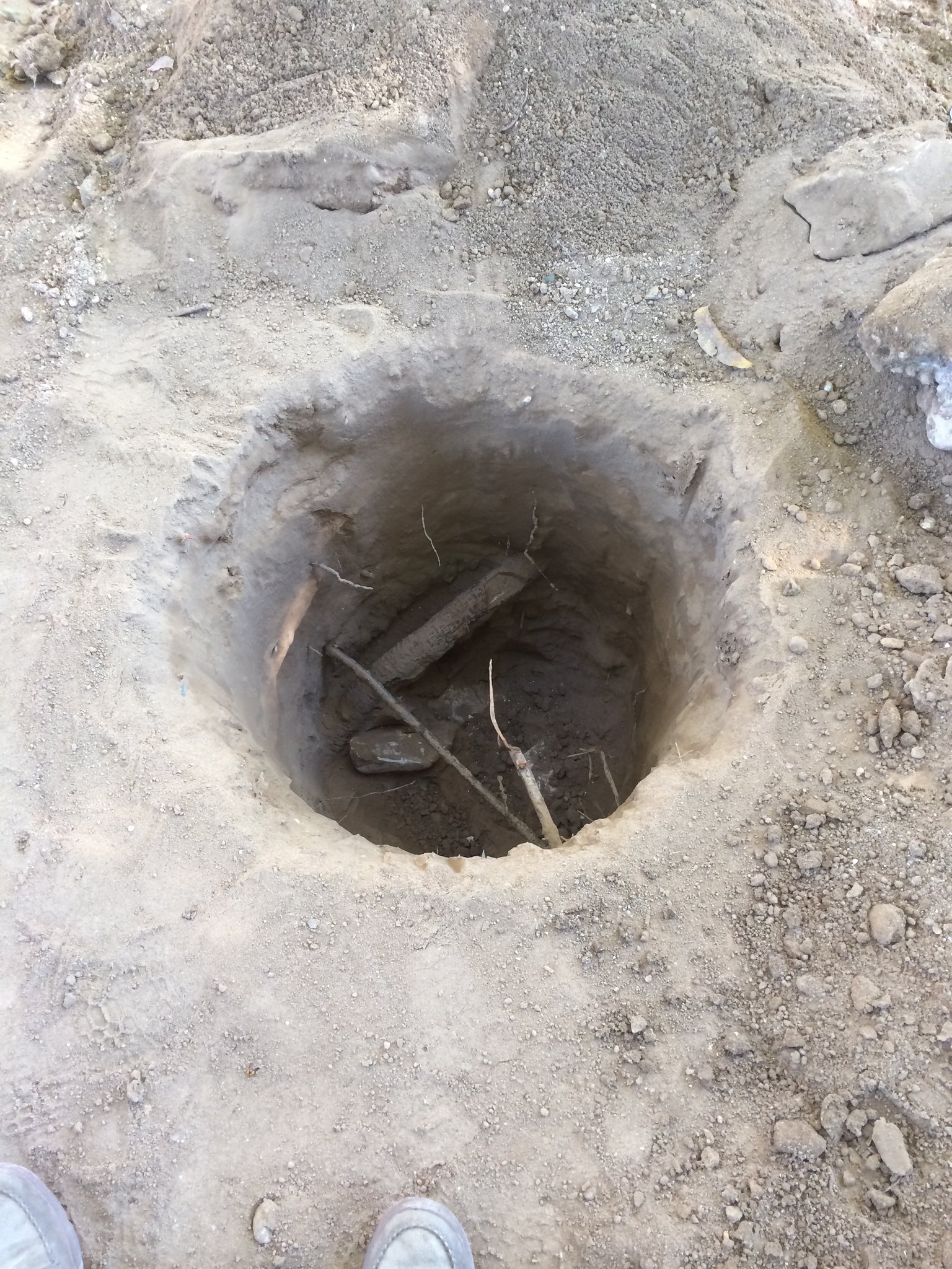 Air-Spade excavation preserving tree roots around a pier hole at an Austin construction site
