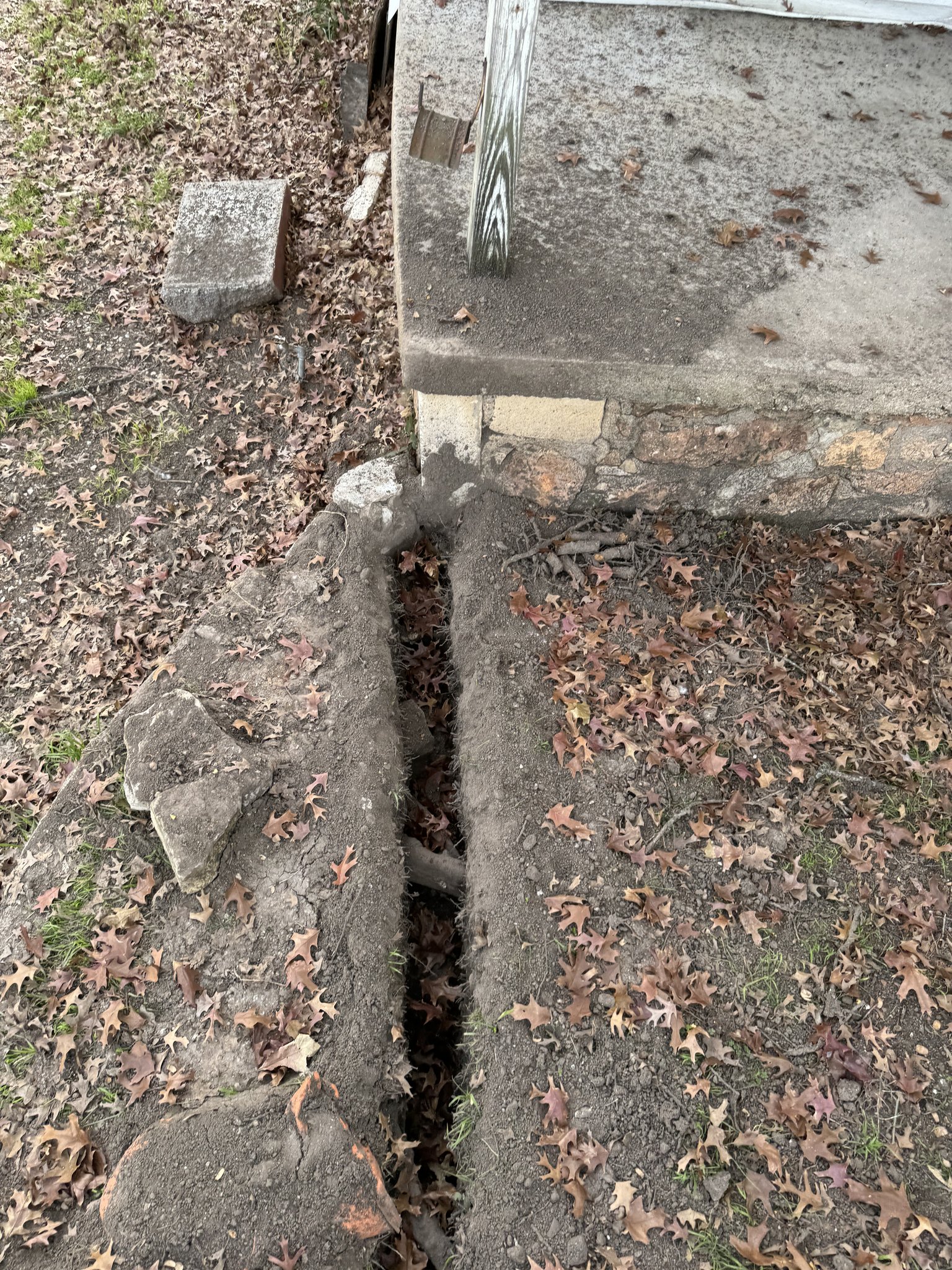 Air-Spade trenching to preserve tree roots near a sidewalk in Austin