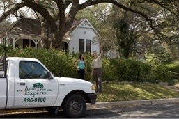 Consulting arborist evaluating trees at a residential property in Austin