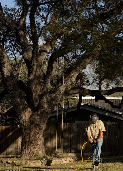 Deep root fertilization treatment on a live oak tree in Austin