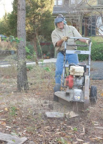 Stump grinding operator working at a residential property in Austin TX
