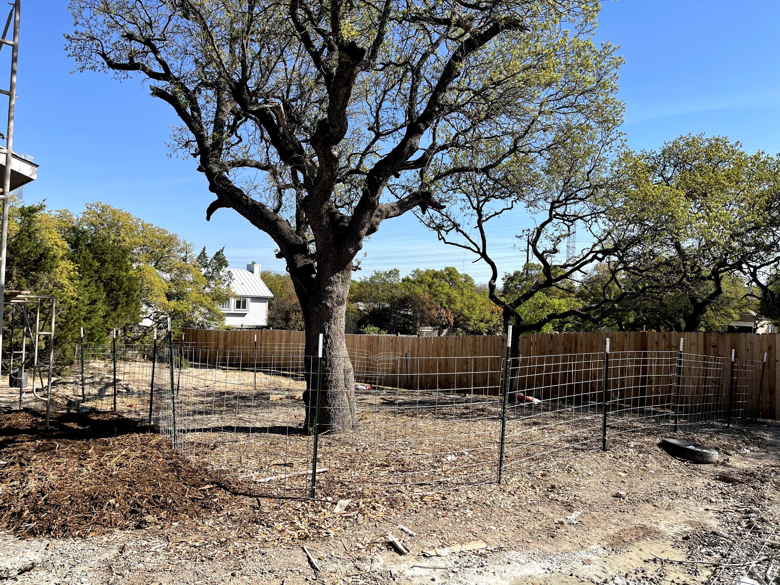 Tree protection fence installed around a mature oak at an Austin construction site