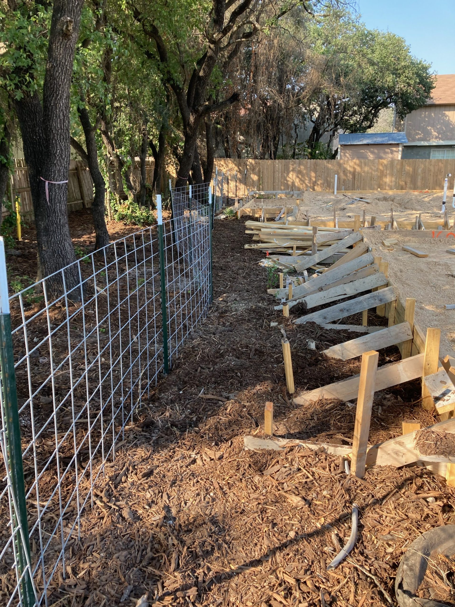 Wire mesh tree protection barrier around critical root zone at construction site