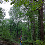 I got a personal tour of the Cypress Valley zipline tour from the owner. We hiked down to this valley of cypress. Can you believe this is in the hill country! IMG_00690.jpg