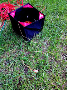 my throw line. IMG_2265.jpg