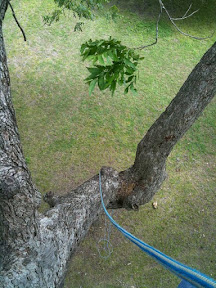 Looking down from half way up. IMG_1968.jpg