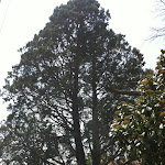 IMG_00680.jpg