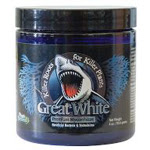 mycorrhizae-greatWhite.jpg