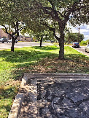 strategic cutout of the curb allows water to flow into tree growing space storm water runoff mitigation tree