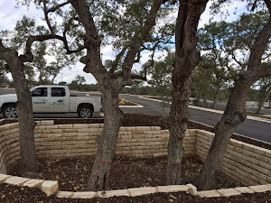large tree wells could account for large volumes of water and significantly contribute to water detention requirements large tree well to collect storm water